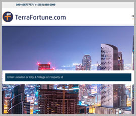 Web-Design---Development