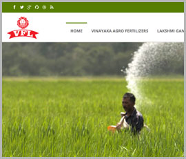 Web-Design---Development